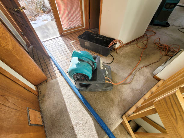 Best Carpet water damage restoration  in USA